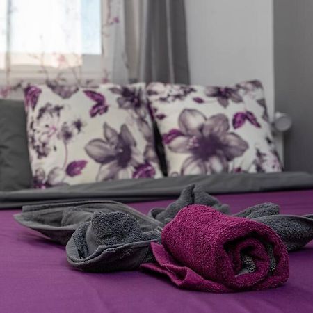 דירות בודפשט Spacious And Bright Flat Between Airport & Center מראה חיצוני תמונה